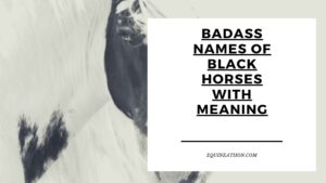 Badass Names of Black Horses with Meaning