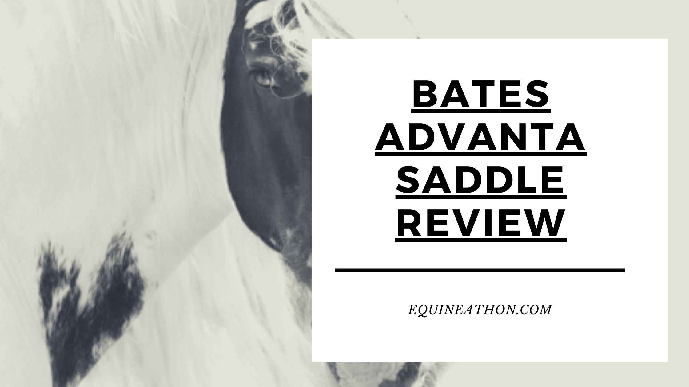 Bates Advanta Saddle Review