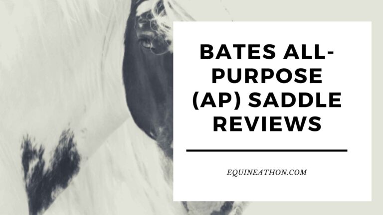 Bates All-Purpose (AP) Saddle Reviews