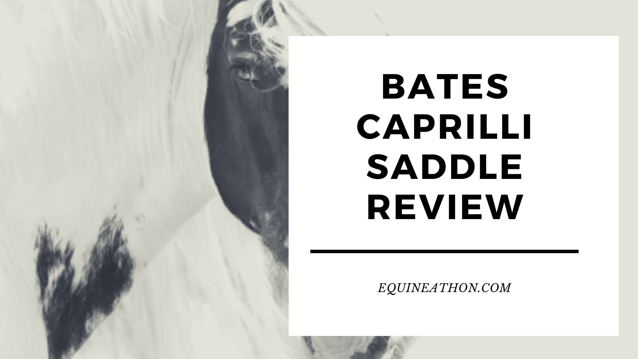 Bates Caprilli Saddle Review