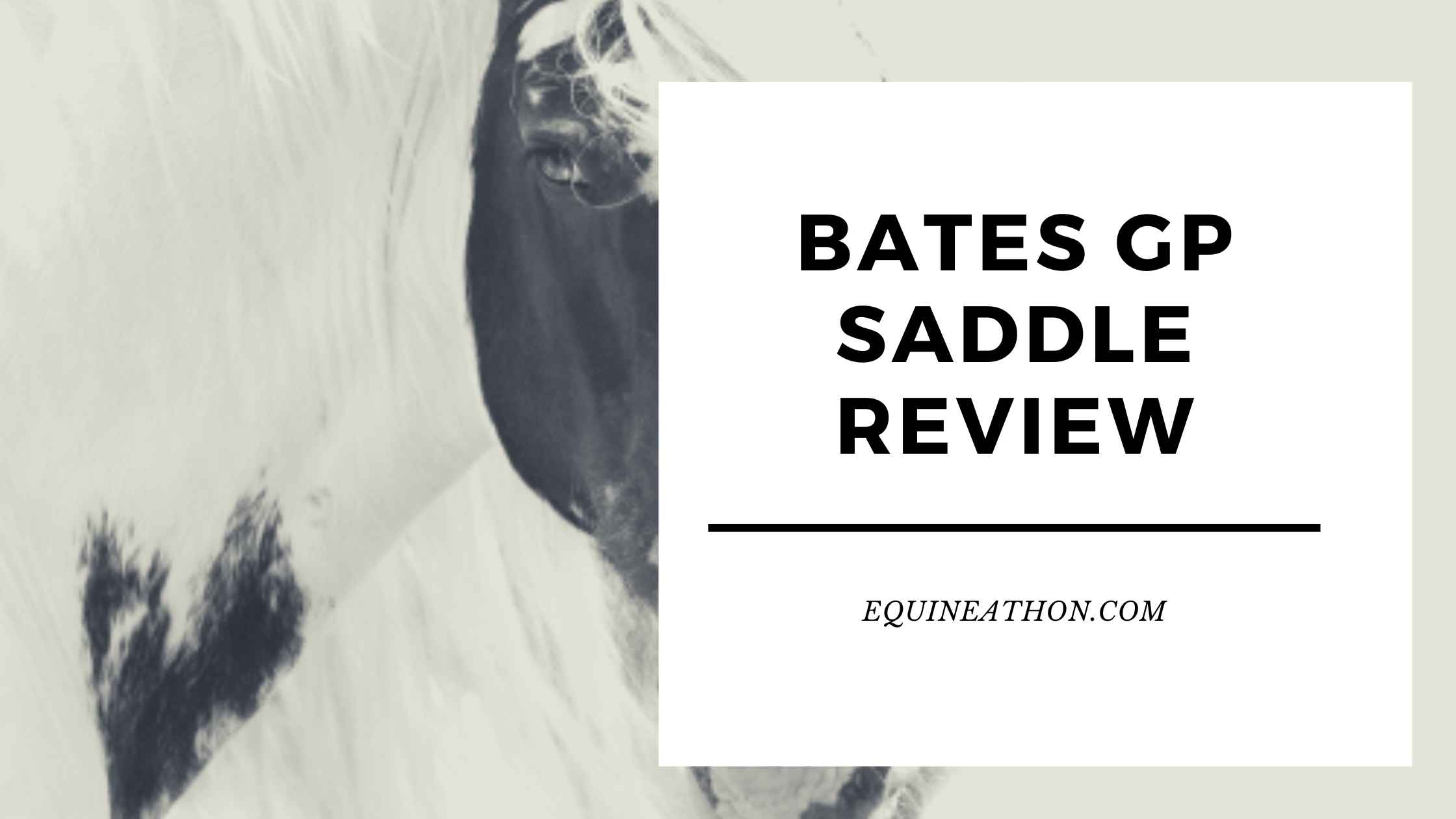 Bates GP Saddle Review