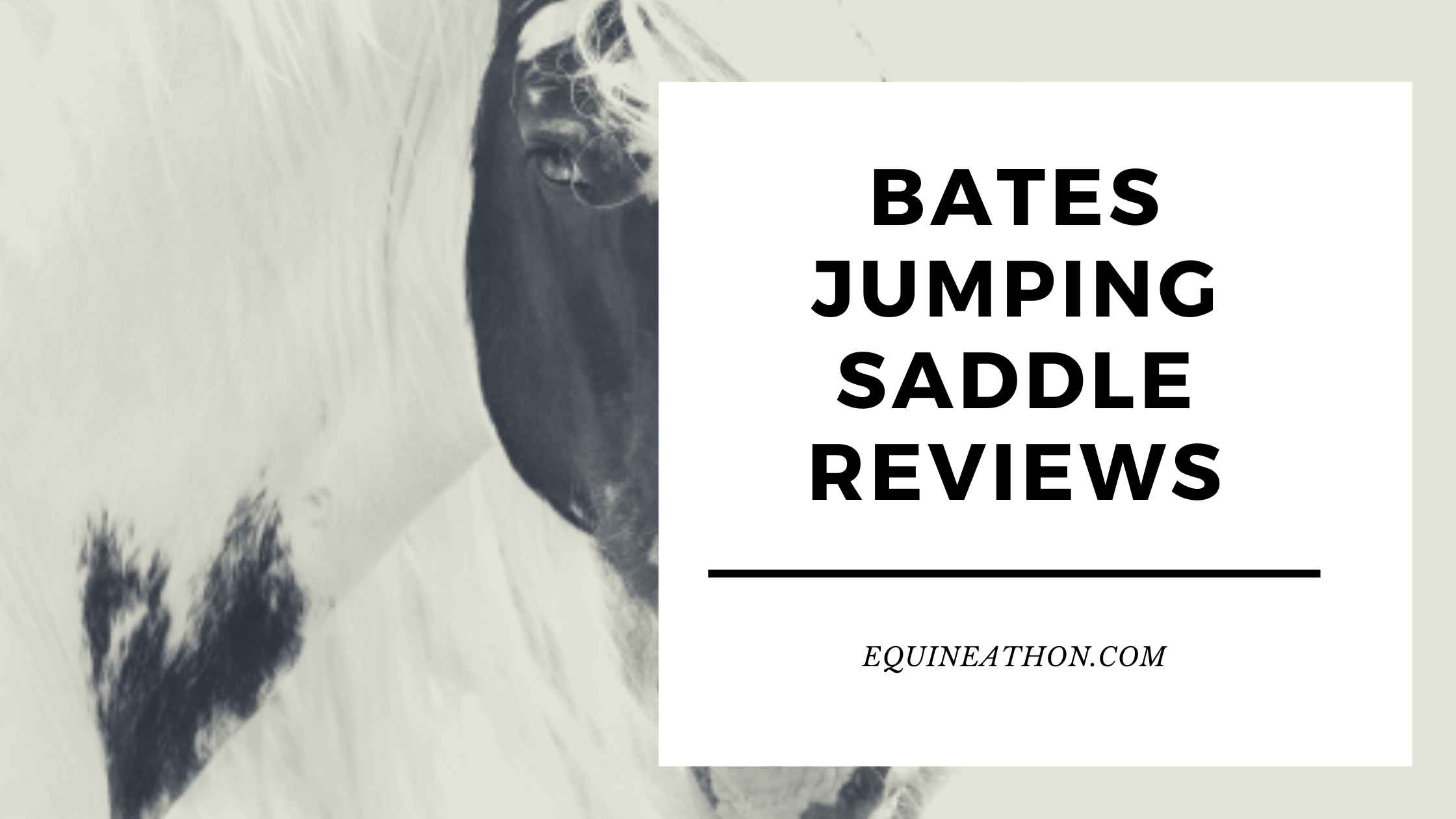 Bates Jumping Saddle Reviews