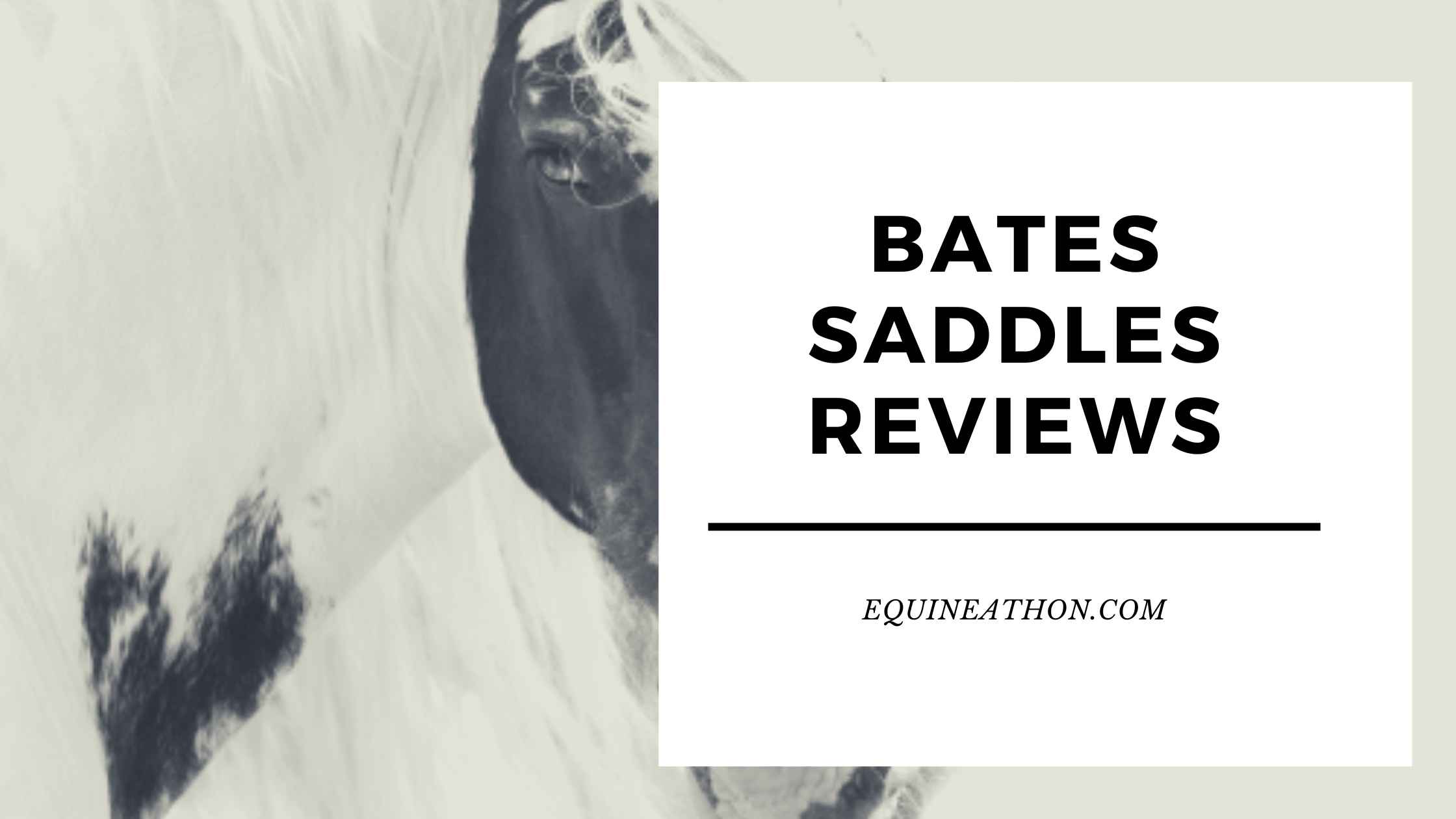 Bates Saddles Reviews