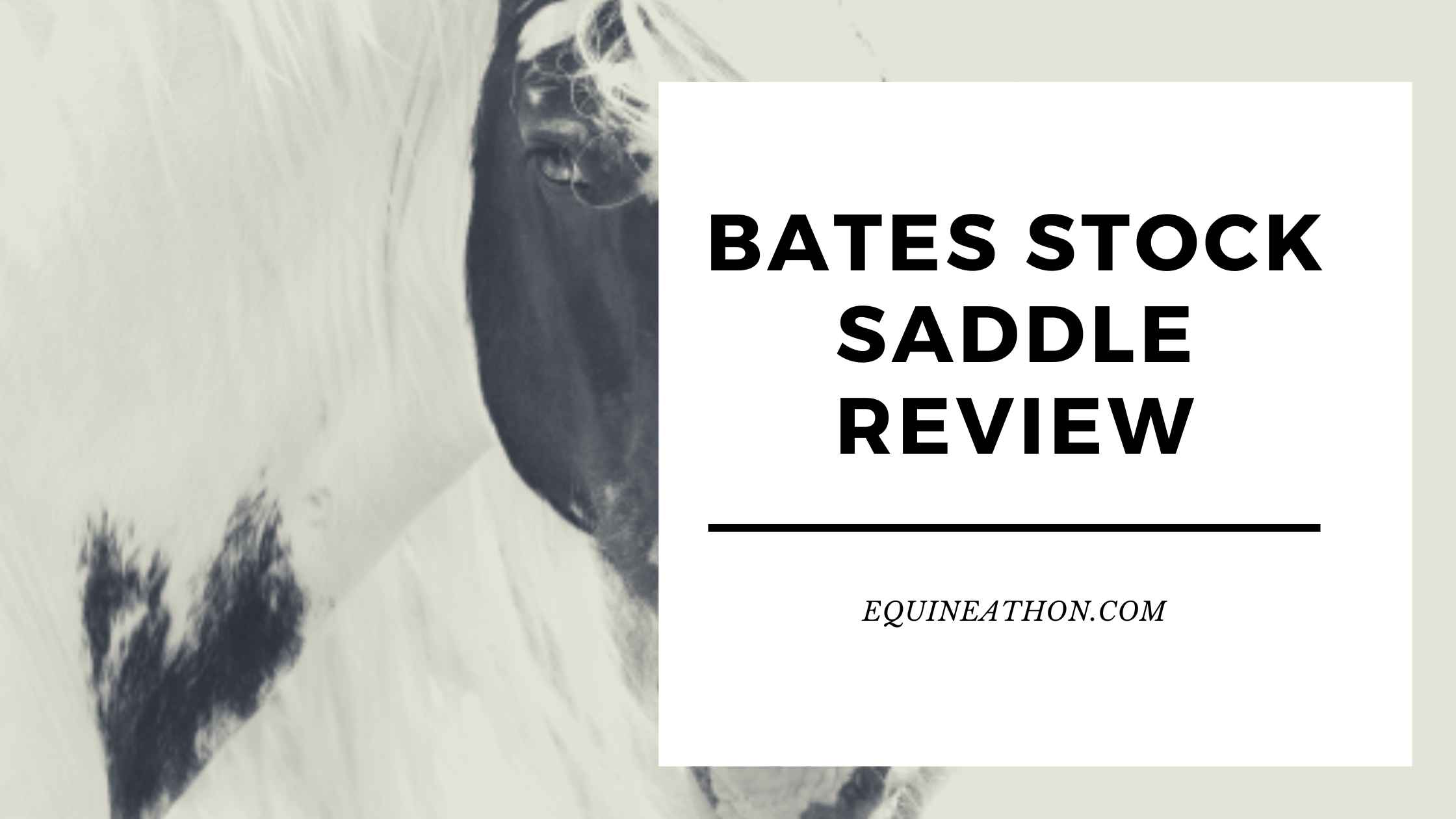 Bates Stock Saddle Review