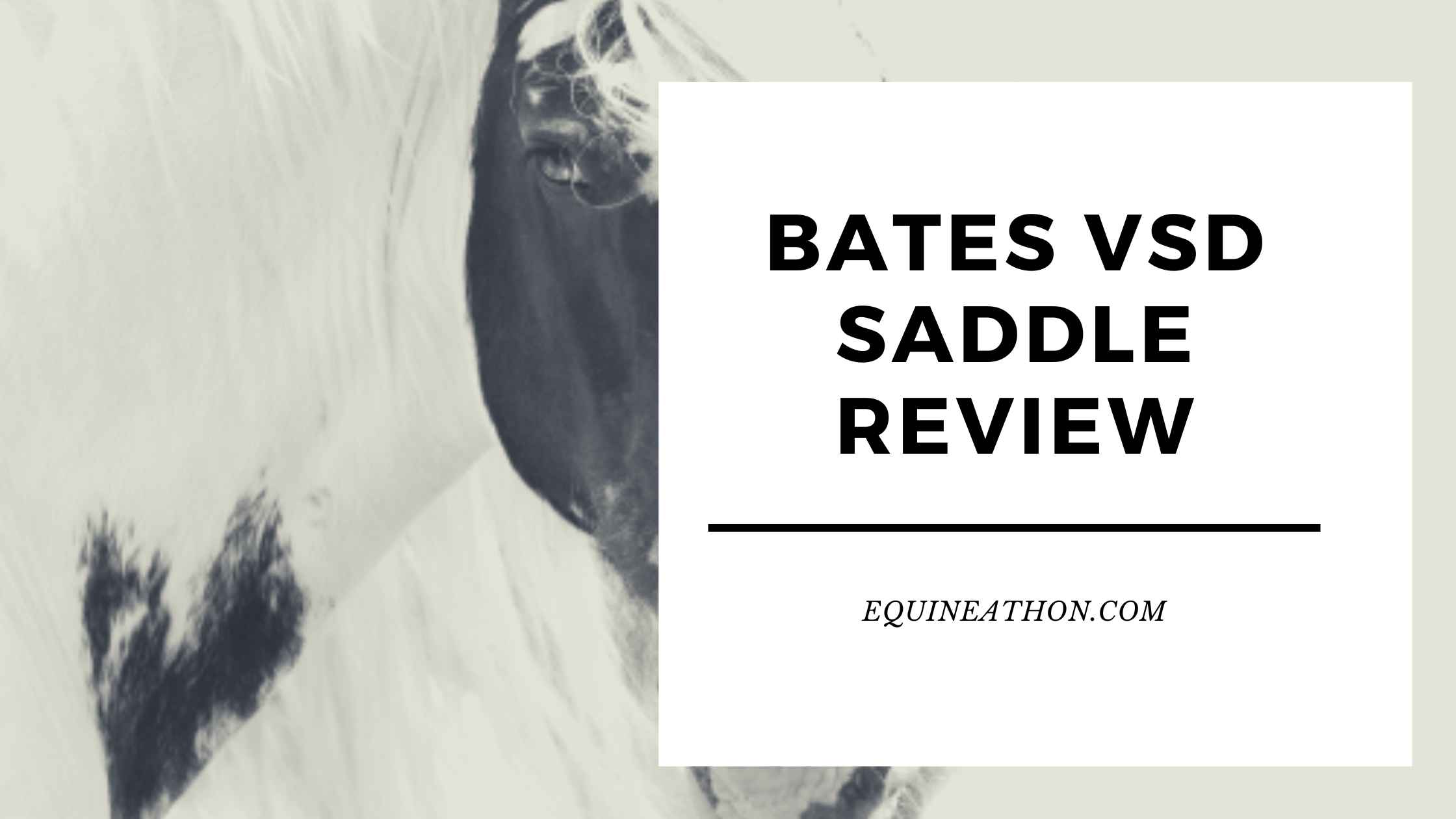 Bates VSD Saddle Review