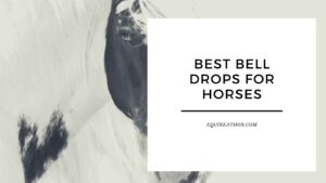 Best Bell Drops for Horses