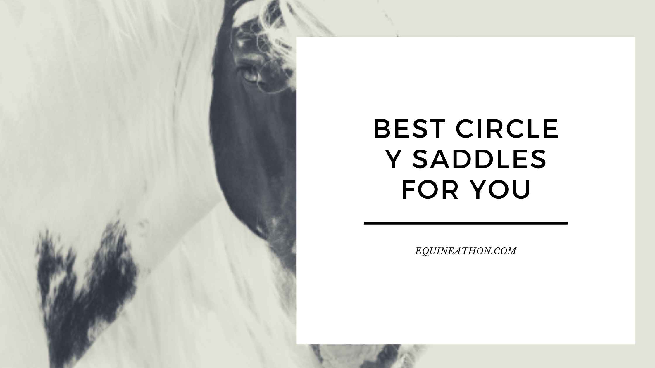 Best Circle Y Saddles for YOU