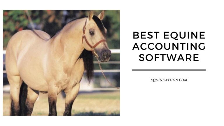 Best Equine Accounting Software