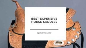 Best Expensive Horse Saddles