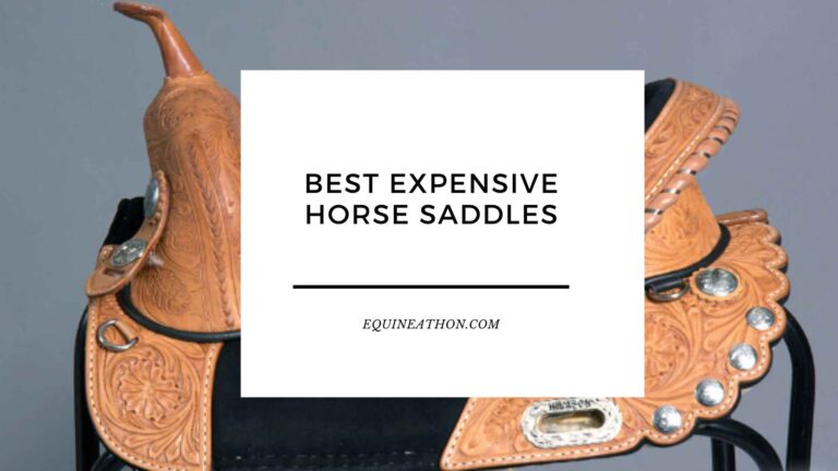 Best Expensive Horse Saddles