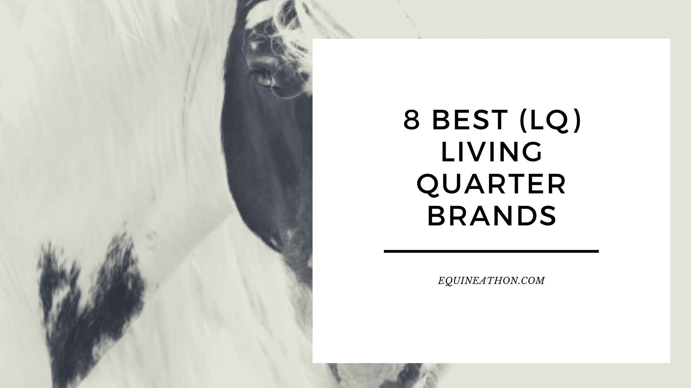 8 Best (LQ) Living Quarter Brands