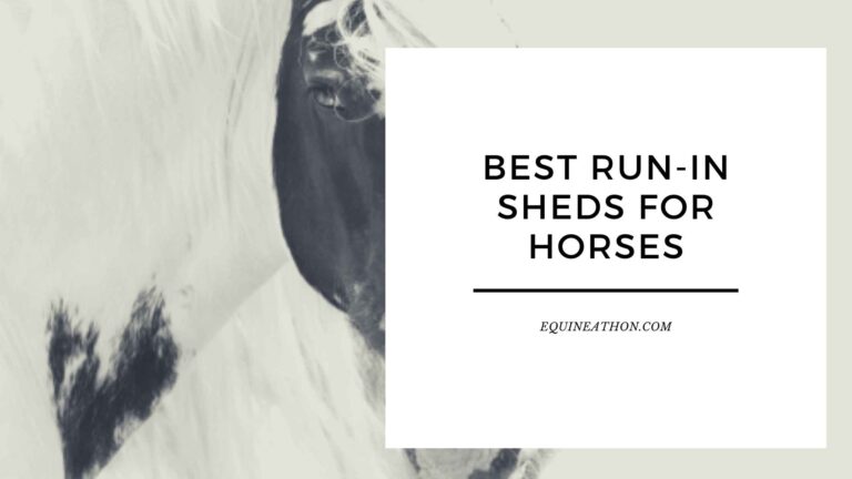 Best Run-In Sheds for Horses