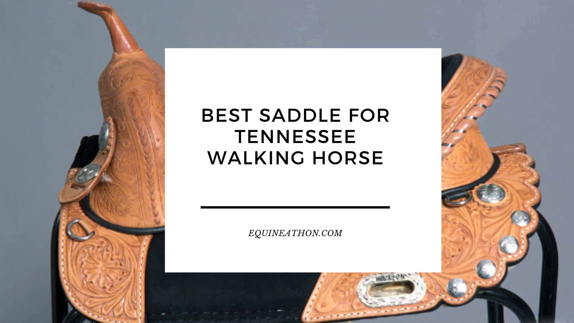 Best Saddle for Tennessee Walking Horse