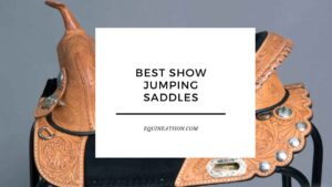 Best Show Jumping Saddles