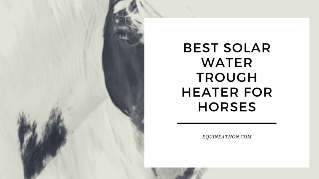 The Best Solar Water Trough Heater for Horses Harnessing the Power of