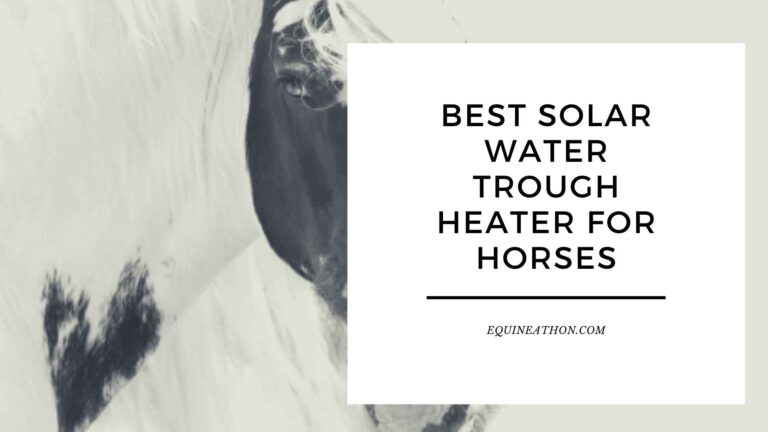 Best Solar Water Trough Heater for Horses