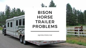 Bison Horse Trailer Problems