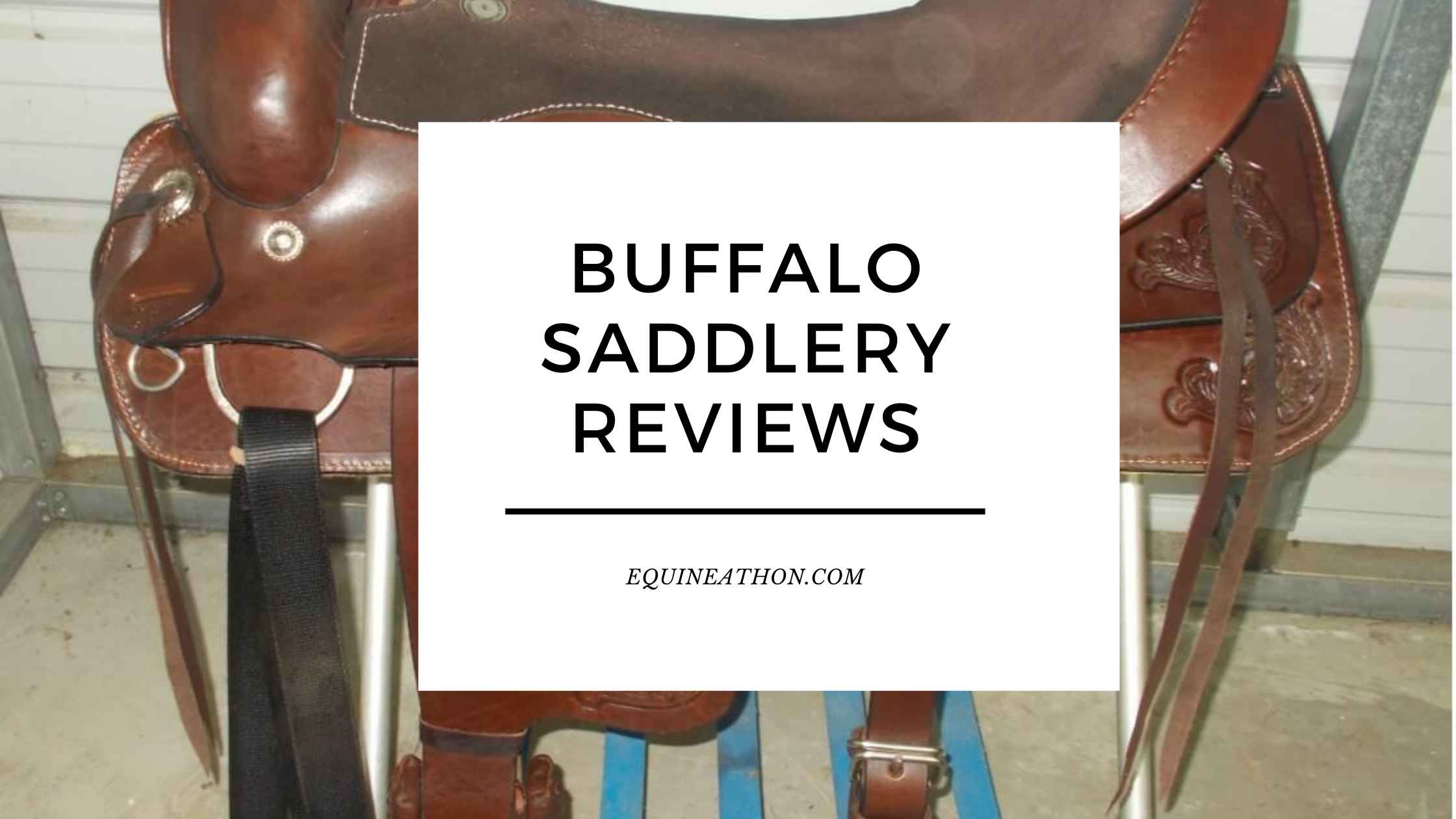 Buffalo Saddlery Reviews