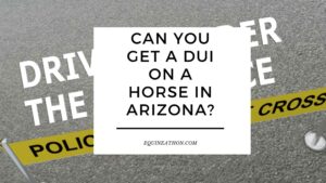 Can You Get a DUI on a Horse in Arizona