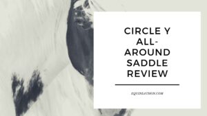 Circle Y All-Around Saddle Review