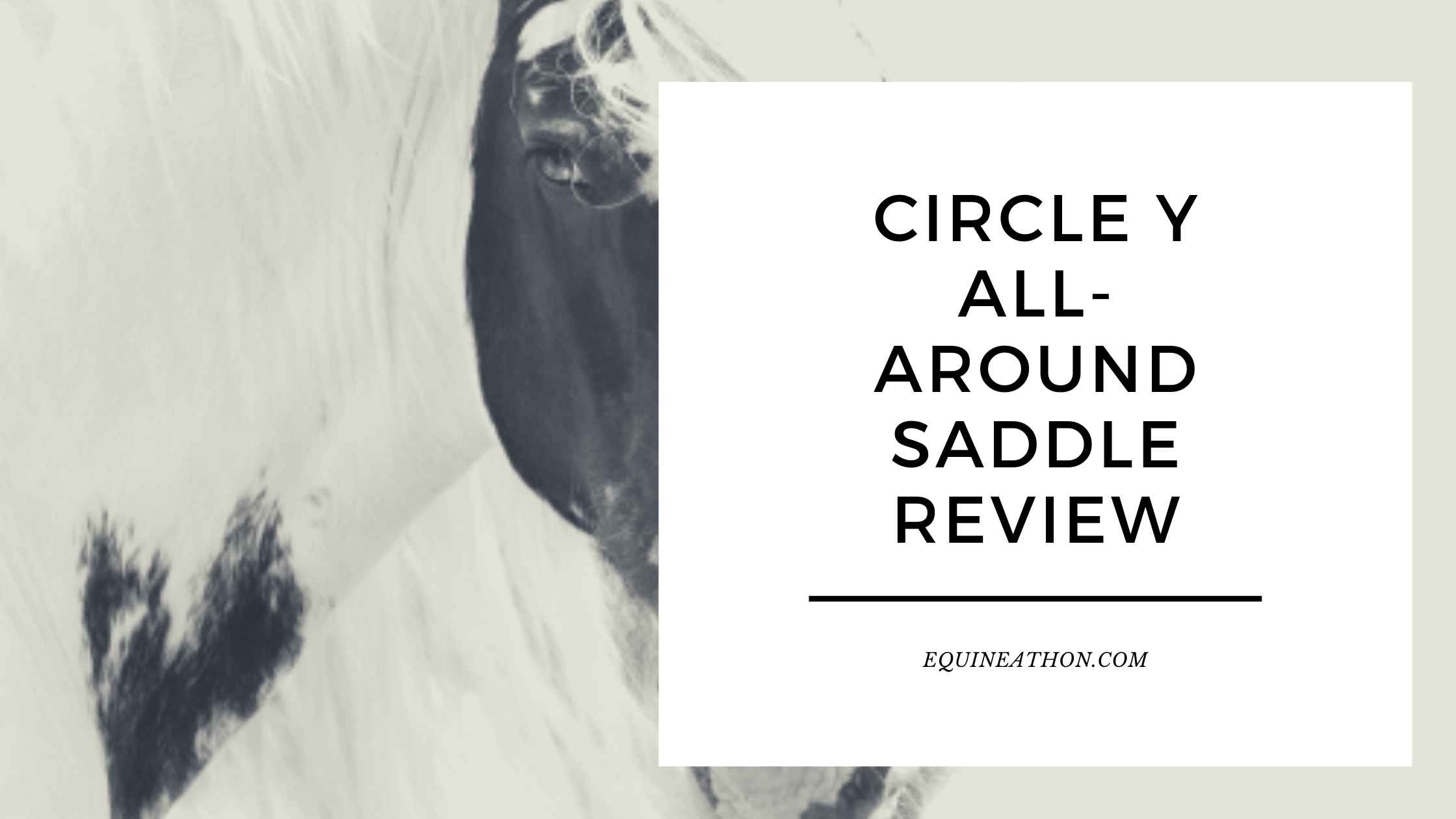 Circle Y All-Around Saddle Review