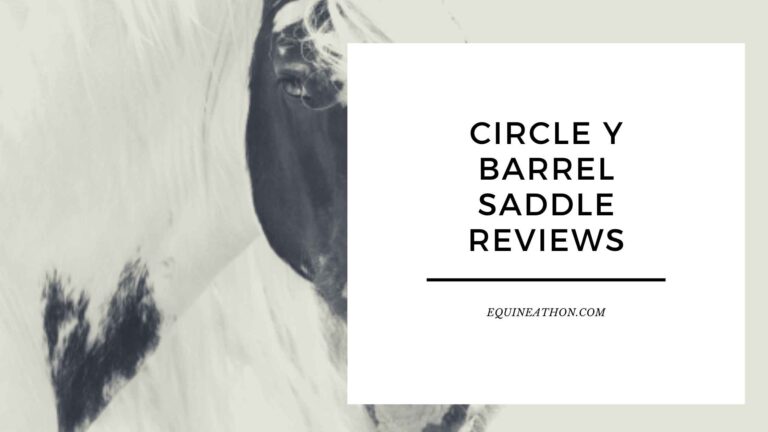 Circle Y Barrel Saddle Reviews