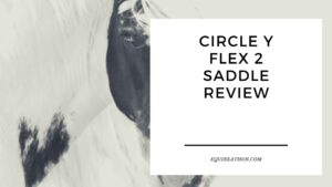 Circle Y Flex 2 Saddle Review