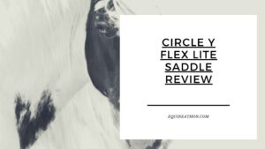 Circle Y Flex Lite Saddle Review