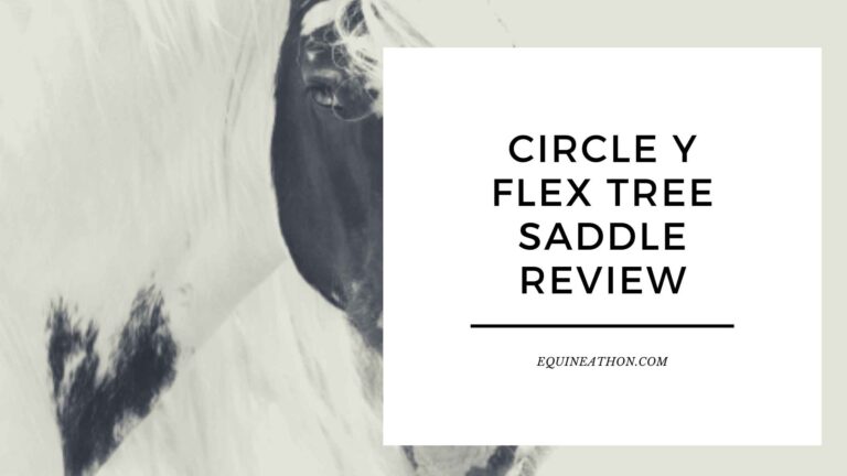 Circle Y Flex Tree Saddle Review