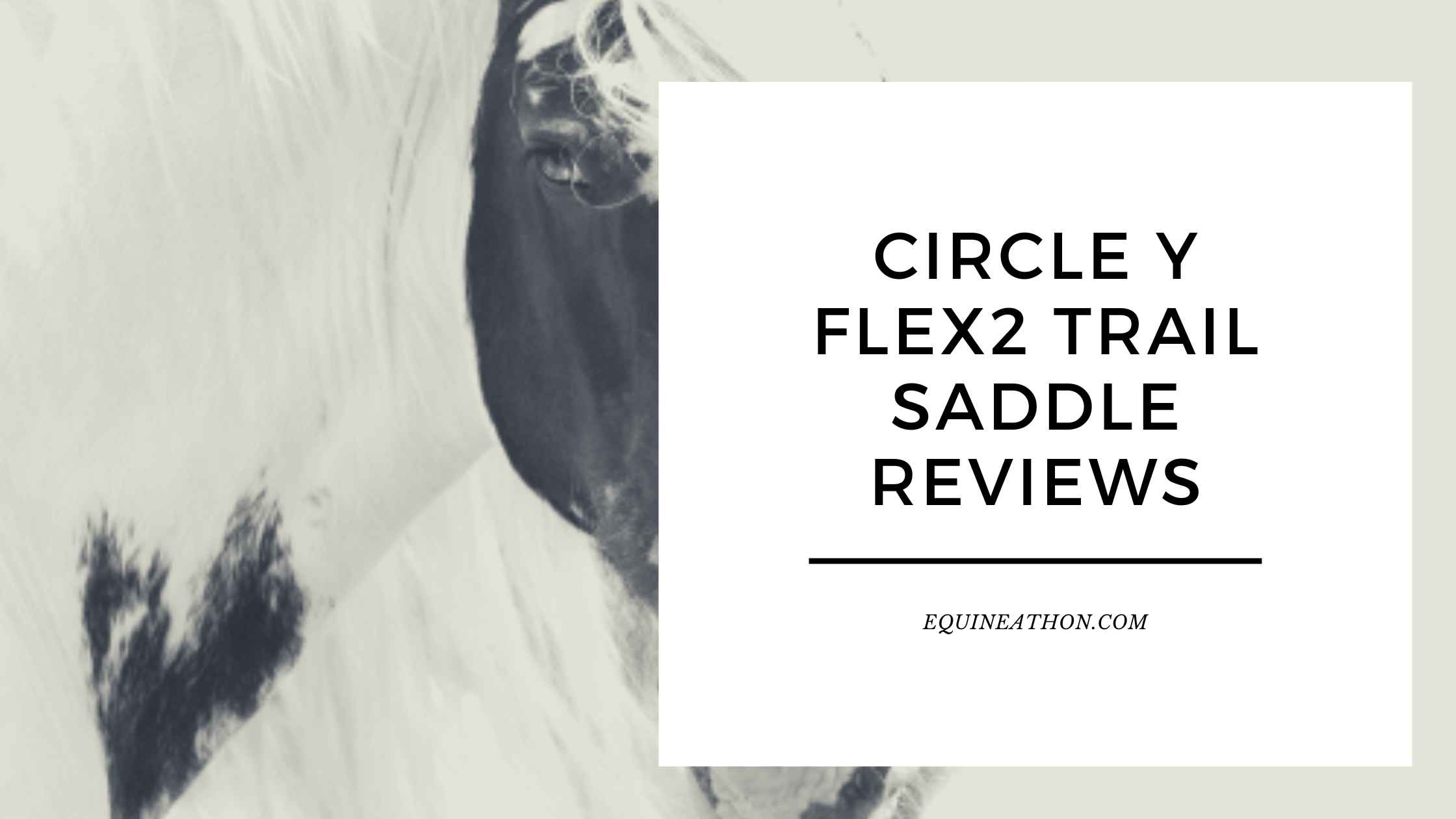 Circle Y Flex2 Trail Saddle Reviews