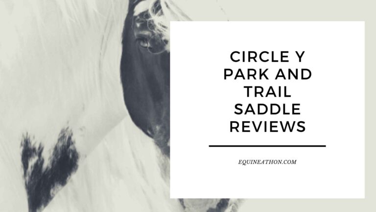 Circle Y Park and Trail Saddle Reviews