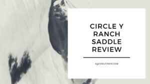 Circle Y Ranch Saddle Review