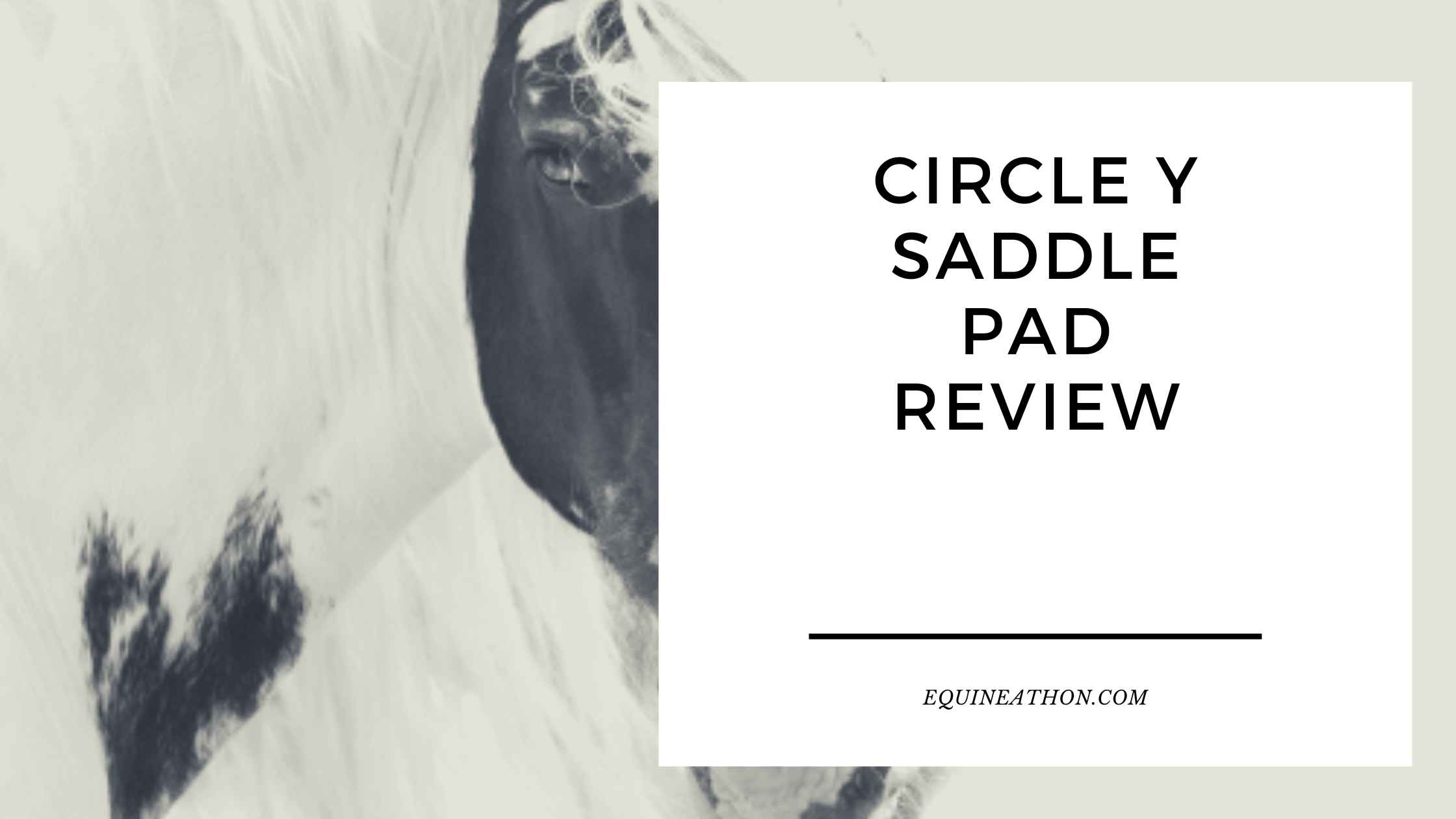 Circle Y Saddle Pad Review