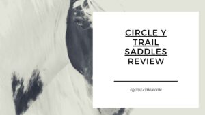 Circle Y Trail Saddles