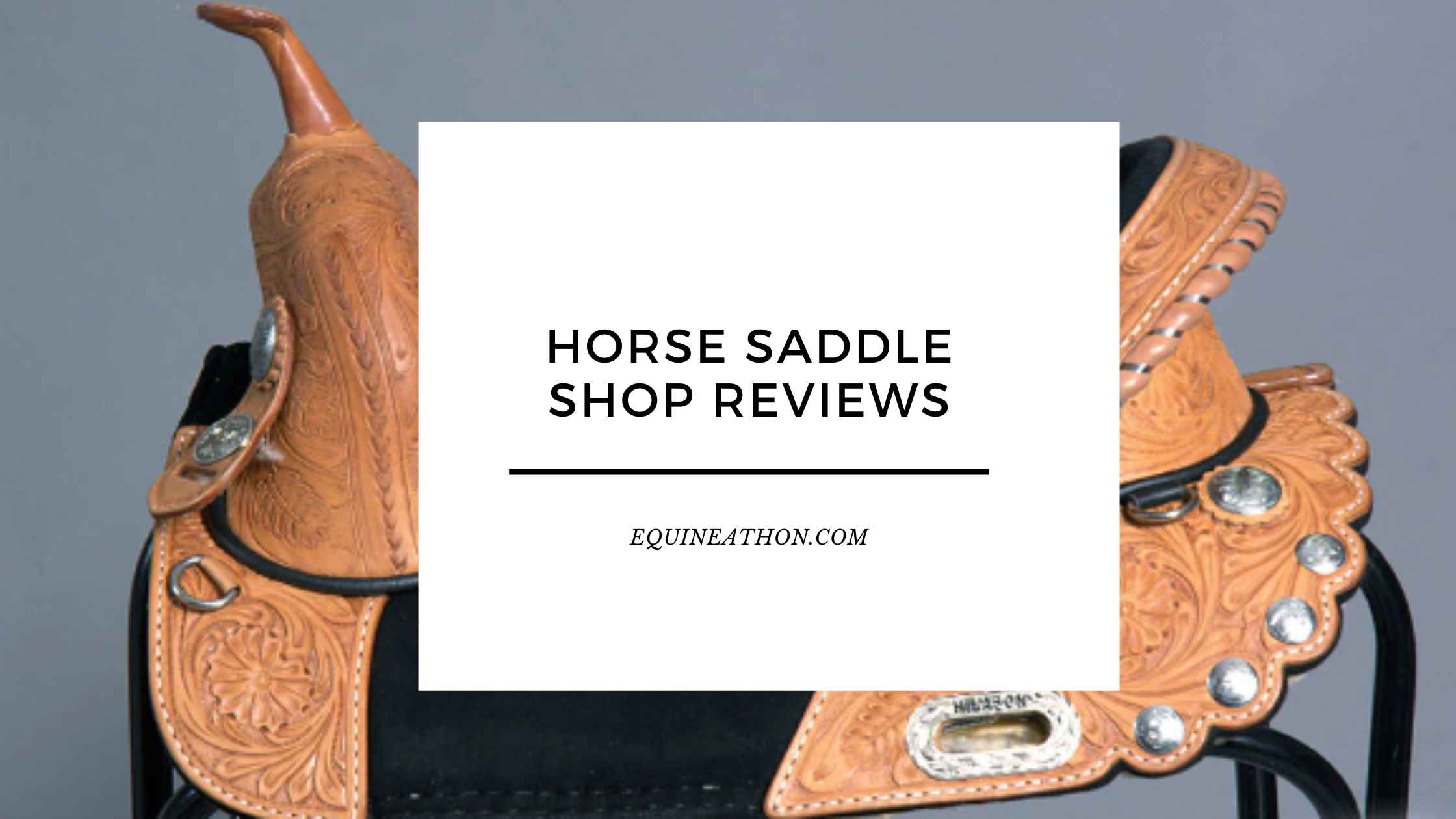 Horse Saddle Shop Reviews