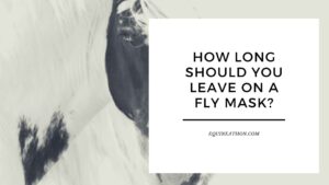 How Long Should You Leave on a Fly Mask