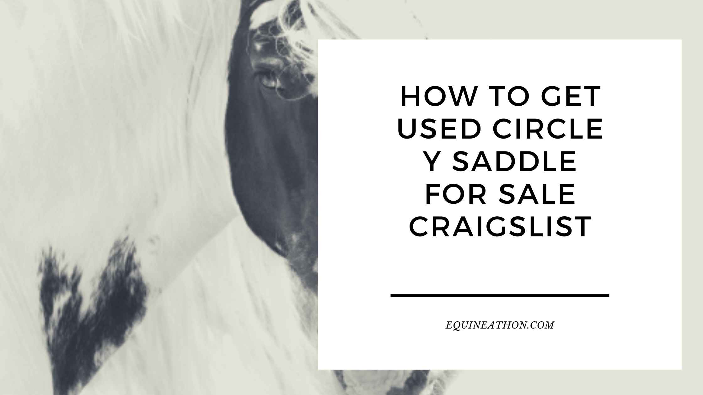 How to Get Used Circle Y Saddle for Sale Craigslist