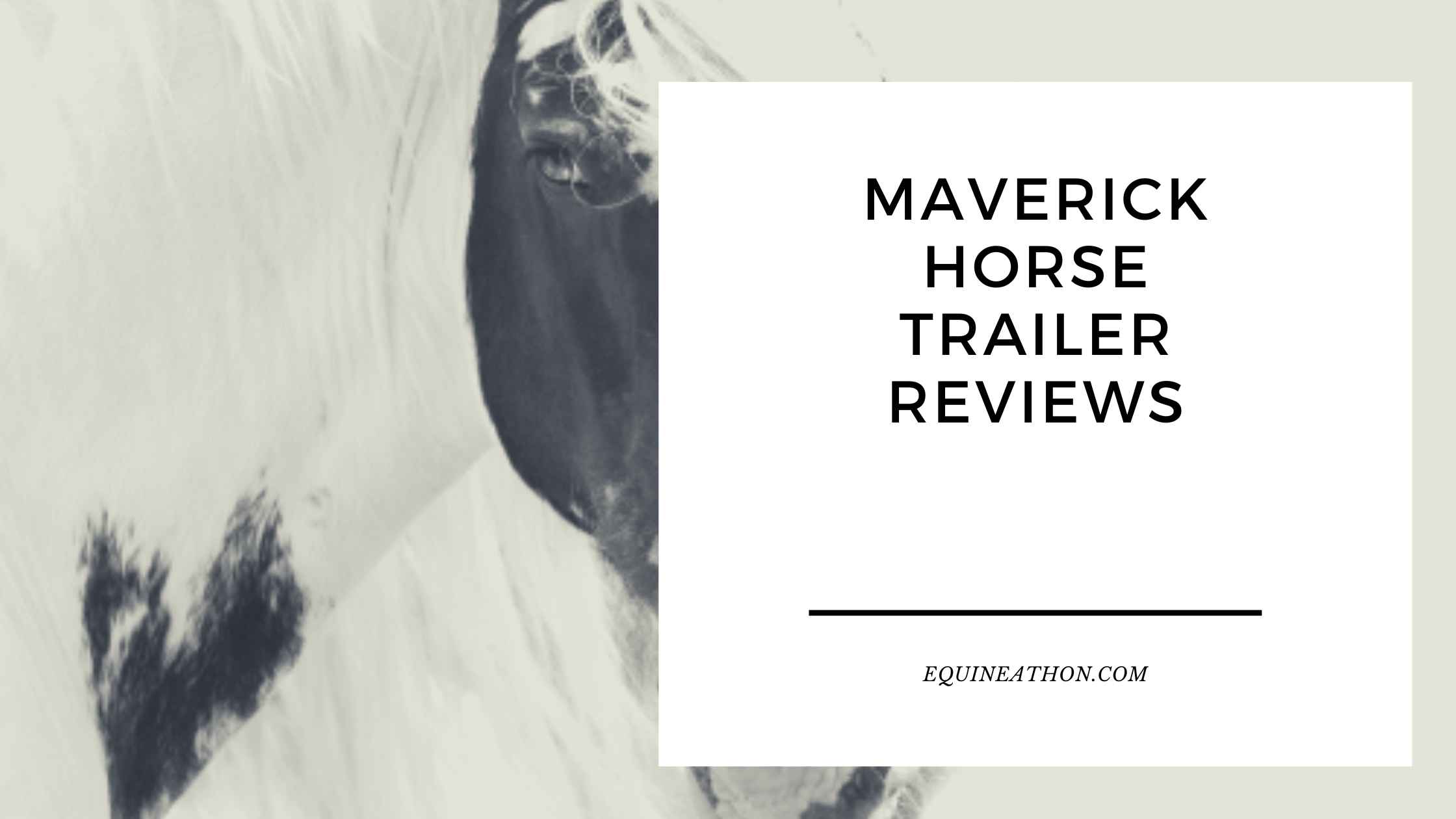 Maverick Horse Trailer Reviews