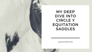 My Deep Dive into Circle Y Equitation Saddles