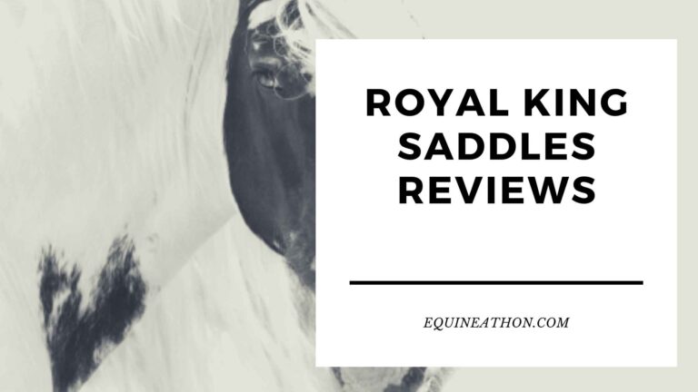 Royal King Saddles Reviews