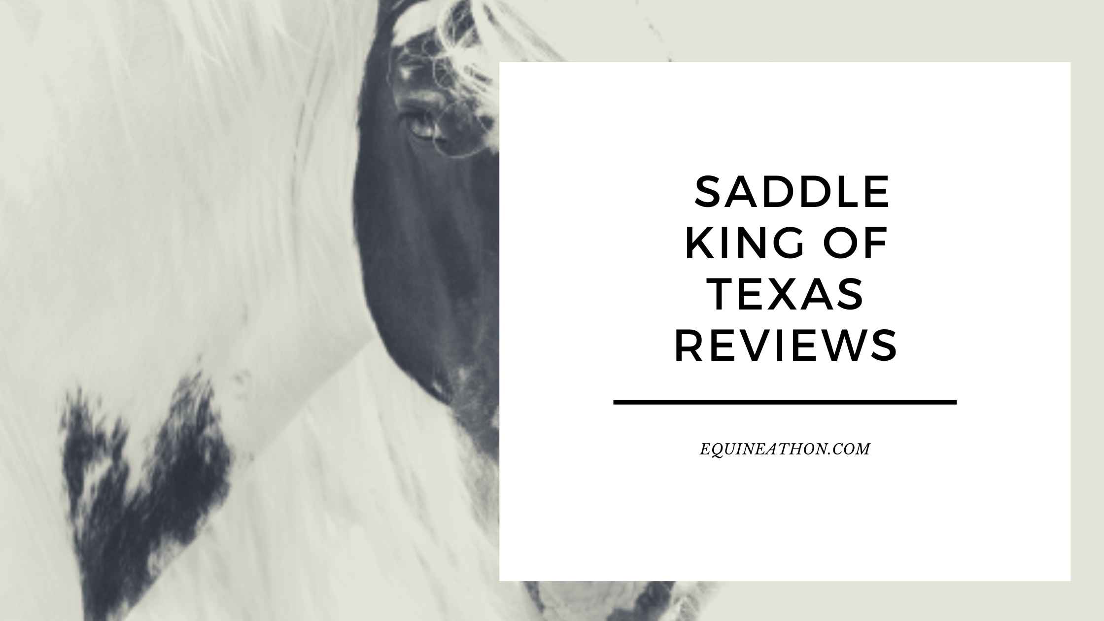 Saddle King of Texas Reviews