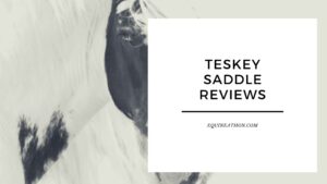 Teskey Saddle Reviews