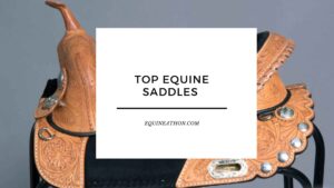 Top Equine Saddles 