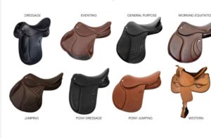 types of english saddles with pictures