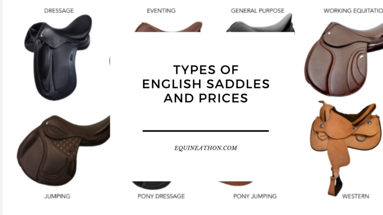 Types of English Saddles and Prices [with PICTURES]