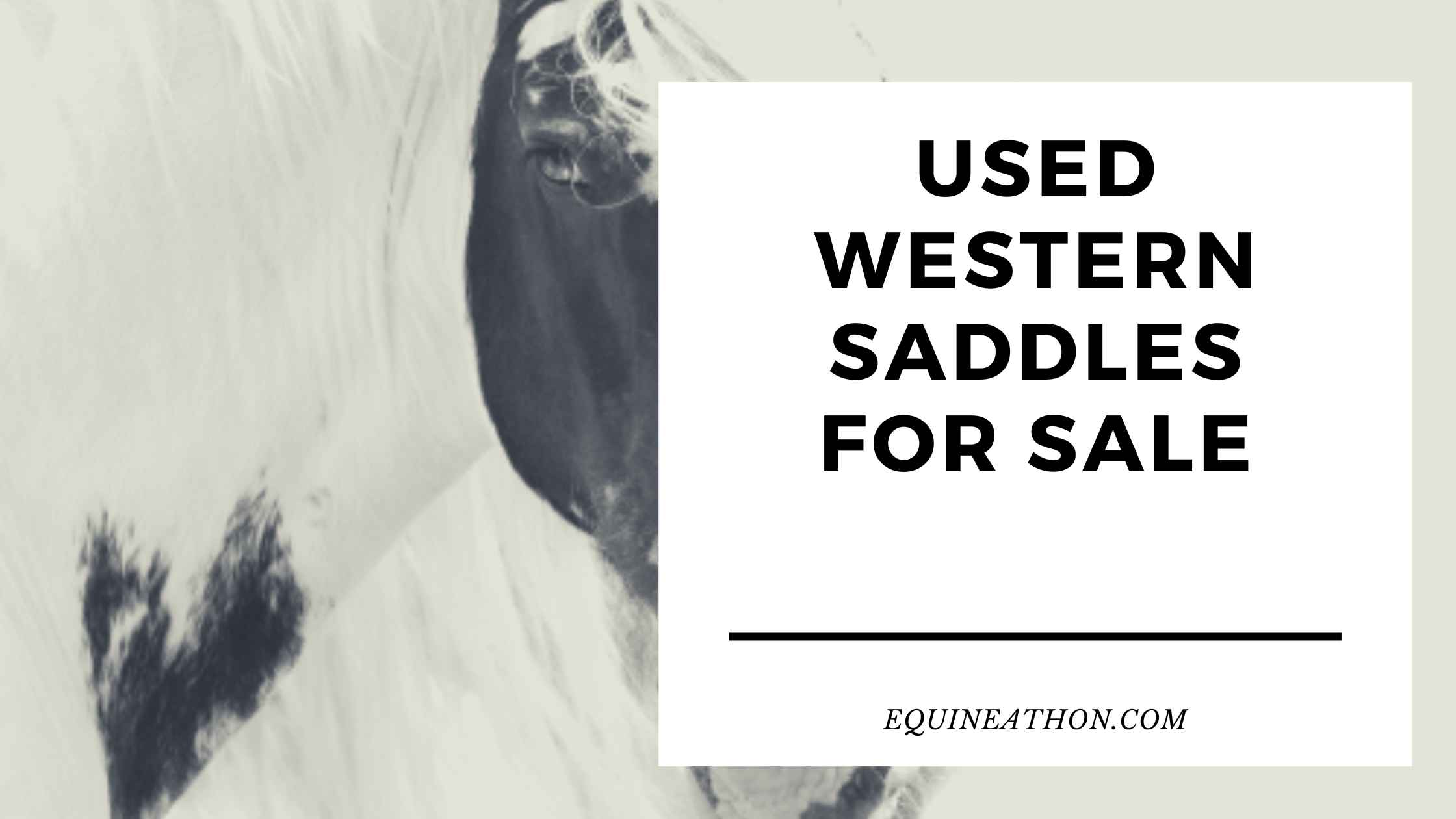 Used Western Saddles for Sale