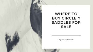 Where to Buy Circle Y Saddles for Sale