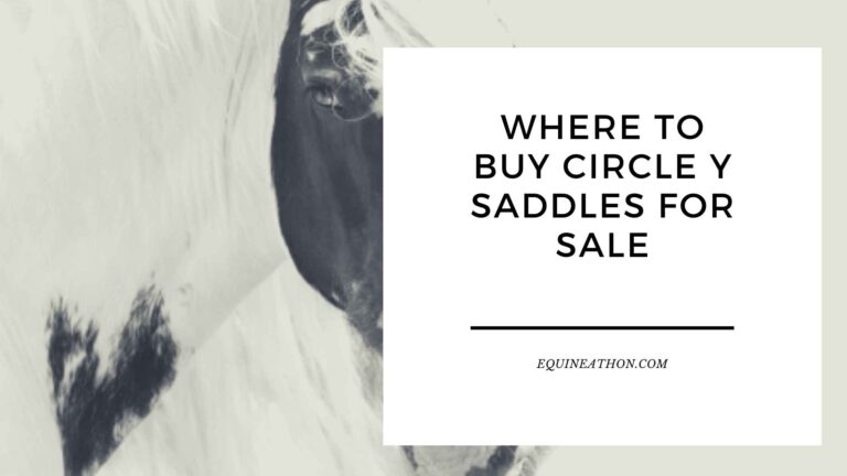 Where to Buy Circle Y Saddles for Sale