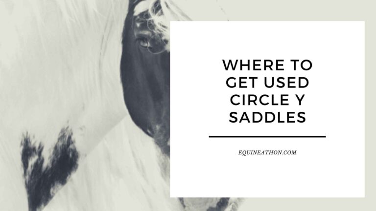 Where to Get Used Circle Y Saddles