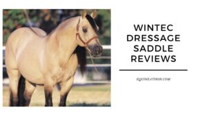 Wintec Dressage Saddle Reviews